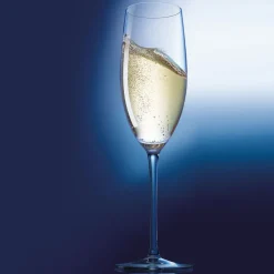 Flûte 24 cl Menades