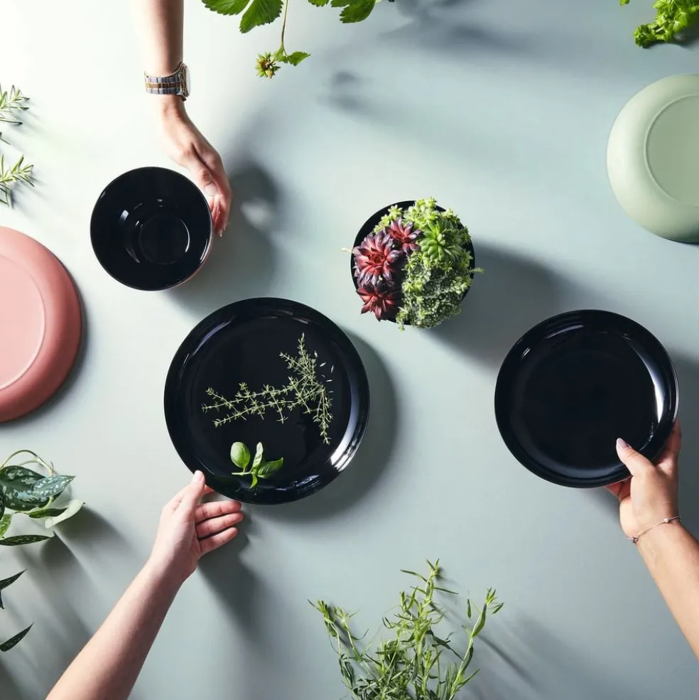 Lot de 4 assiettes 21cm Vicky Vert Sauge - Luminarc