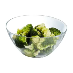 Saladier 20 cm Cosmos