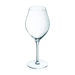 Verre à pied 55 cl Exaltation