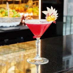 Verre à pied 21 cl Monti