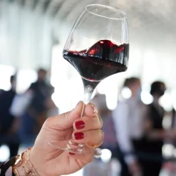 Verre à pied Pro Tasting 32 cl Open Up